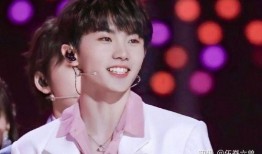 娱乐圈吃瓜马嘉祺是谁的粉丝,娱乐圈吃瓜群众的热议焦点